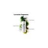 L'Oreal - Metal Detox Pre-Trattamento Shampoo 250 Ml
Riempie le microrotture della superficie del capello in un solo utilizzo.