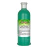 Loren gel precera menta piperita 500ml