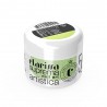 Polveri acriliche colorate che permettono di realizzare facilmente decori 3D e fantastici nail french - Verde Foglia