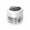 Polveri acriliche colorate che permettono di realizzare facilmente decori 3D e fantastici nail french - Indaco Superglitter