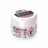 Polveri acriliche colorate che permettono di realizzare facilmente decori 3D e fantastici nail french - Magenta