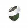 Polveri acriliche colorate che permettono di realizzare facilmente decori 3D e fantastici nail french - Verde Scuro