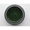 Polveri acriliche colorate che permettono di realizzare facilmente decori 3D e fantastici nail french - Verde Scuro