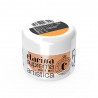 Polveri acriliche colorate che permettono di realizzare facilmente decori 3D e fantastici nail french - Arancione
