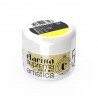 Polveri acriliche colorate che permettono di realizzare facilmente decori 3D e fantastici nail french - Sole
