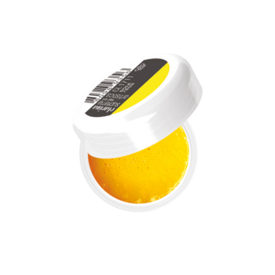 Polveri acriliche colorate che permettono di realizzare facilmente decori 3D e fantastici nail french - Sole