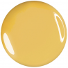 Clarissa Cl PCL 3023 Gel Pittura Beige 5ml