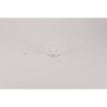 C ring cup, 5 pezzi