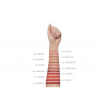 Matita waterproof 2 in 1: labbra e contorno. 0,35 g . N. 011 - Iconic Red
