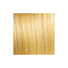 Socap SoHair Extension Adesive 50-55 Cm 6 Pezzi - Colore DB3 Biondo Dorato Medio