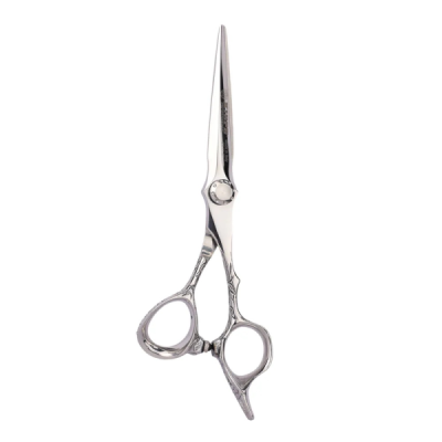 Kiepe Forbici Taglio Parrucchiere Serie Filo Rasoio Regular 2817.6