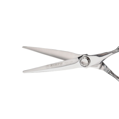 Kiepe Forbici Taglio Parrucchiere Serie Filo Rasoio Regular 2817.6