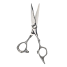 Kiepe Forbici Taglio Parrucchiere Serie Filo Rasoio Regular 2817.55